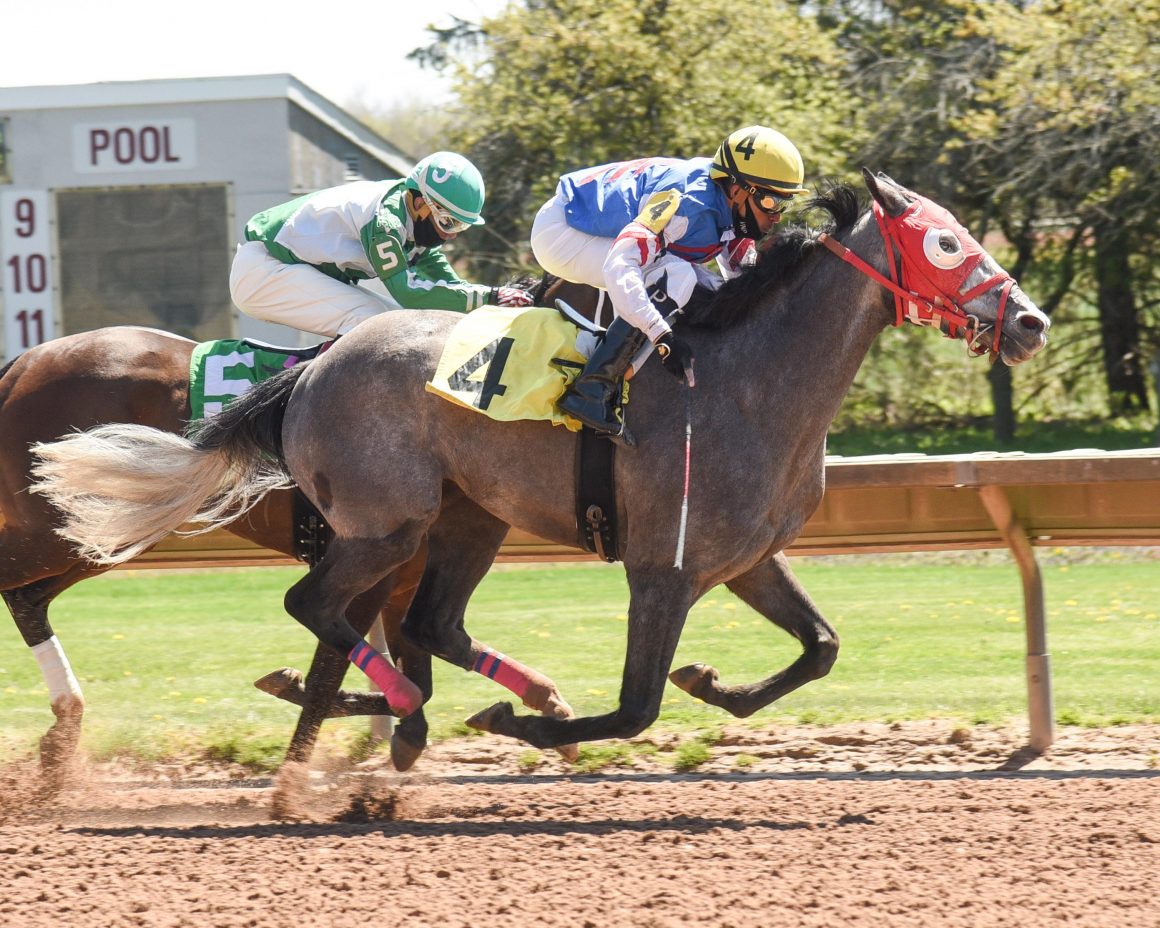 Finger Lakes Gaming & Racetrack NY BET