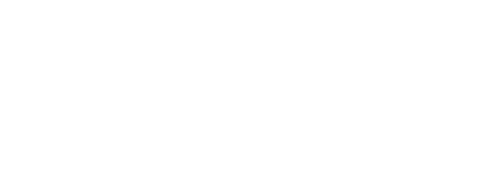 Hollywood Races NY